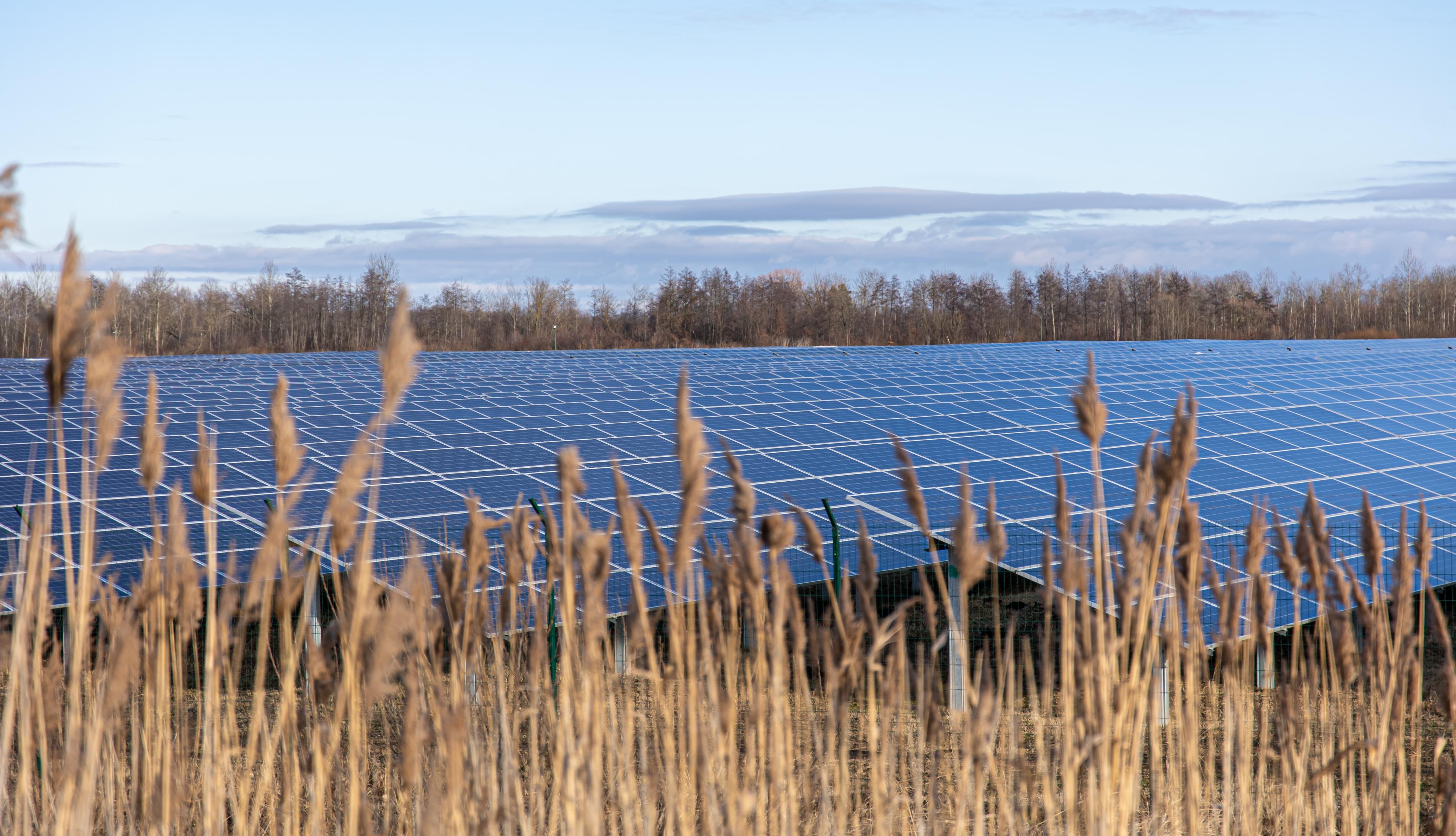 panneaux photovoltaïques dans un champ