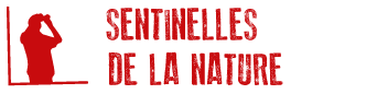 Logo Sentinelles de la nature