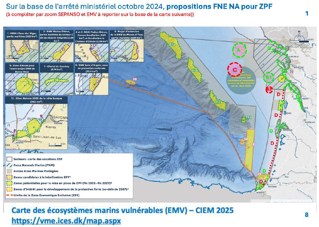 Propositions FNE NA ZPF