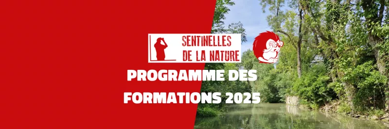 sentinelles 2025