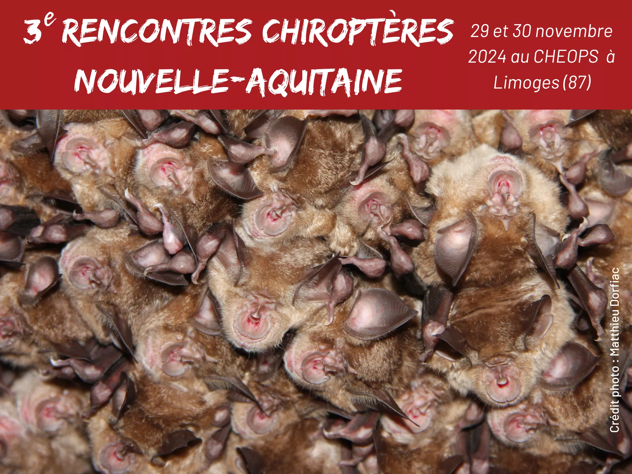 3e Rencontres chiroptères Nouvelle-Aquitaine