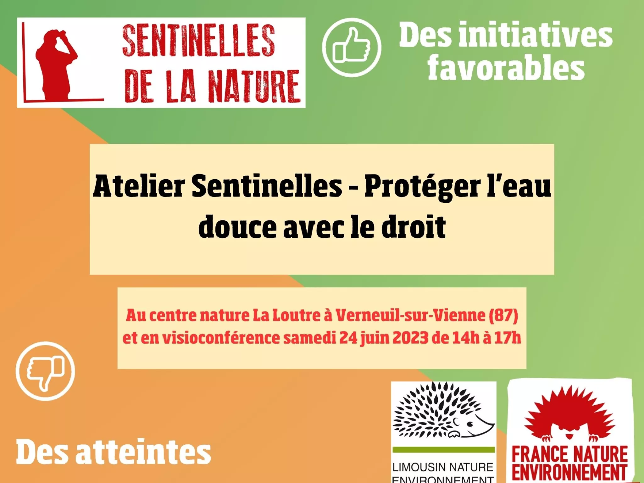 Visuel de l'atelier sentinelles