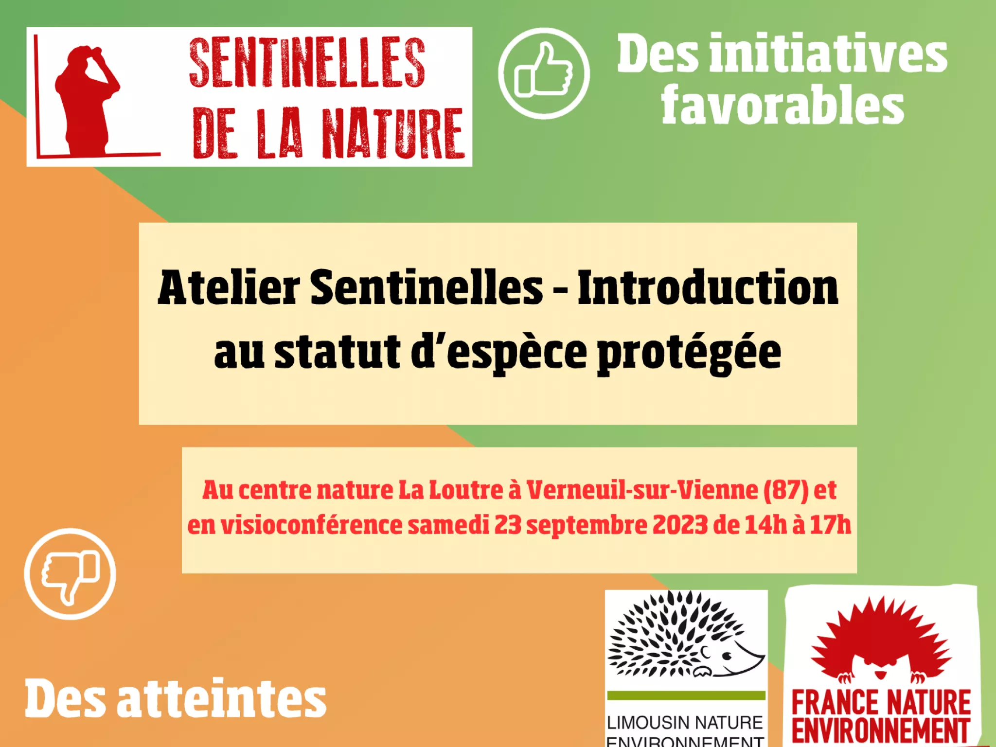 Visuel de l'atelier sentinelles