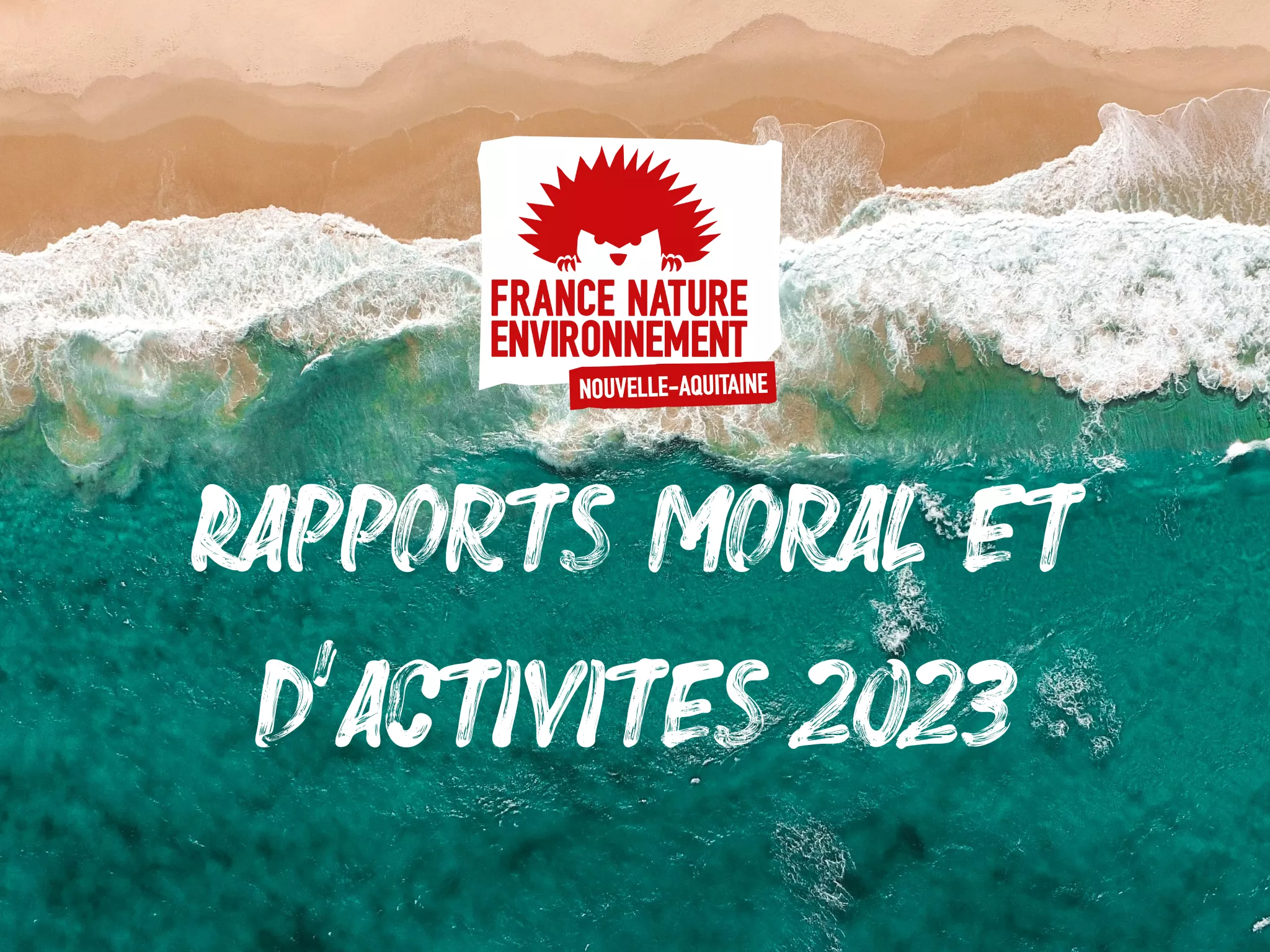 Rapports moral et d'activités 2023