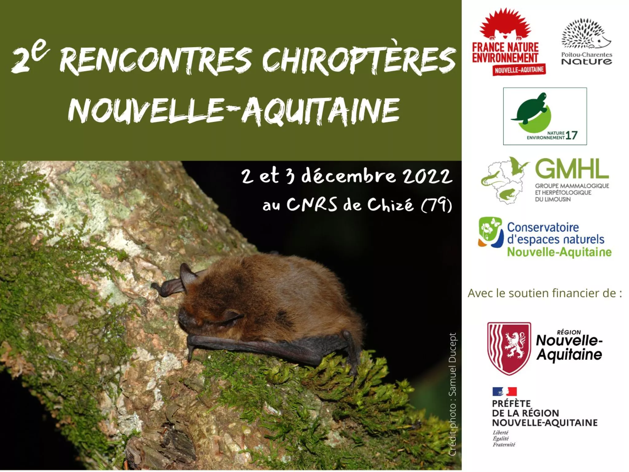 Rencontres chiroptères Nouvelle-Aquitaine - 2 et 3 décembre 2022