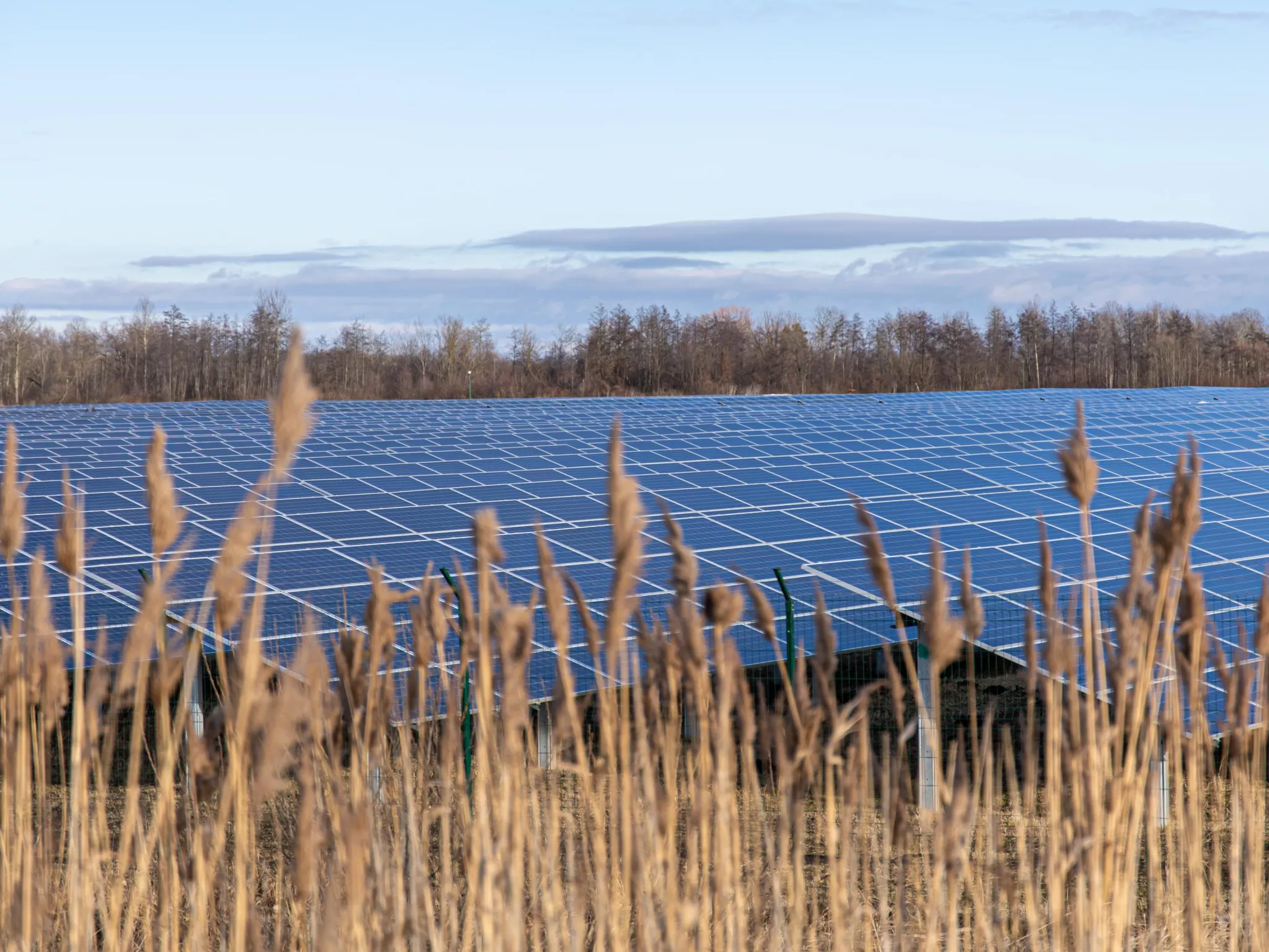 panneaux photovoltaïques dans un champ