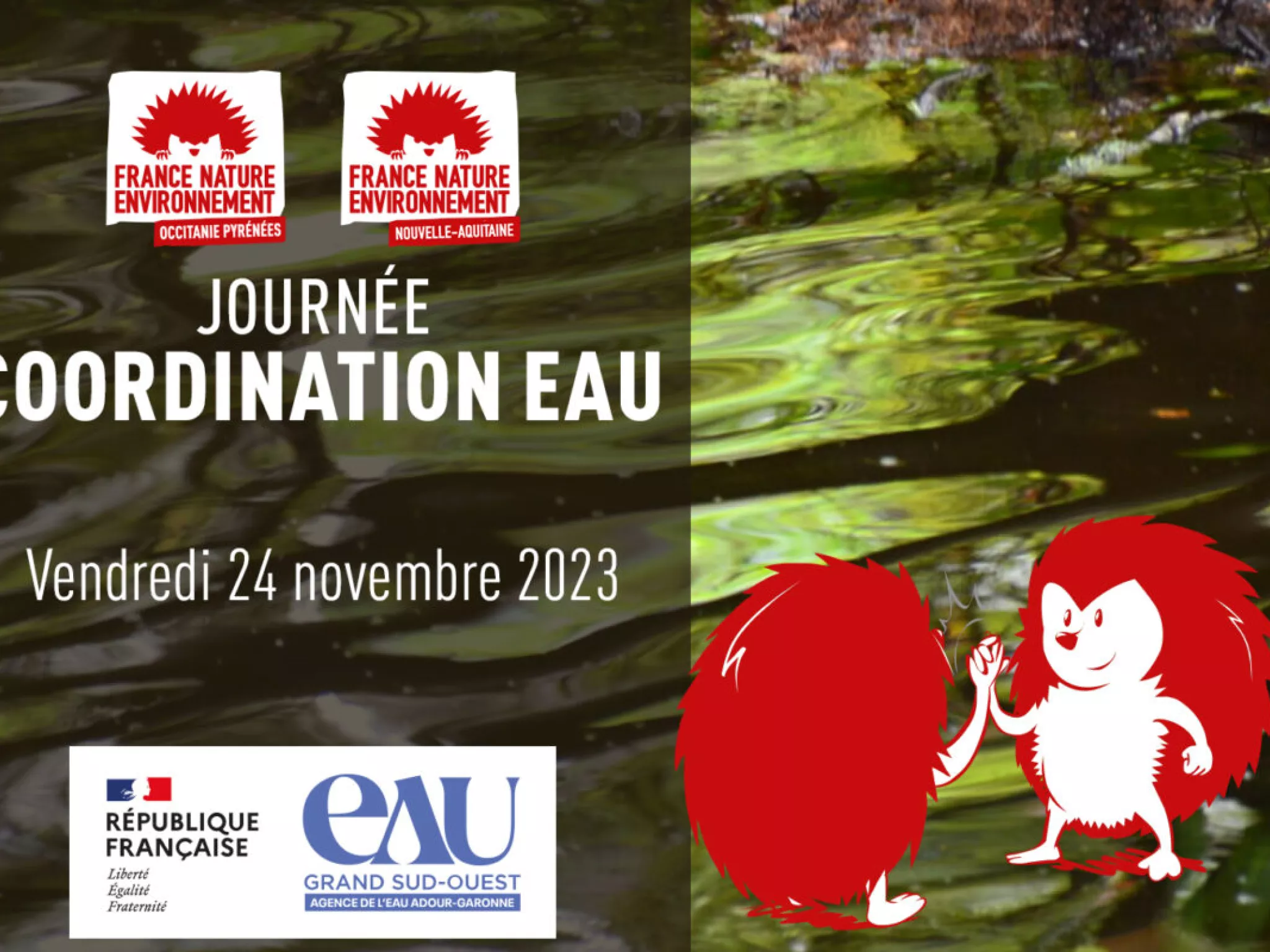 Journée Coordination Eau FNE Occitanie Pyrénées et FNE Nouvelle Aquitaine Journée Coordination Eau Vendredi 24 nov à Bordeaux