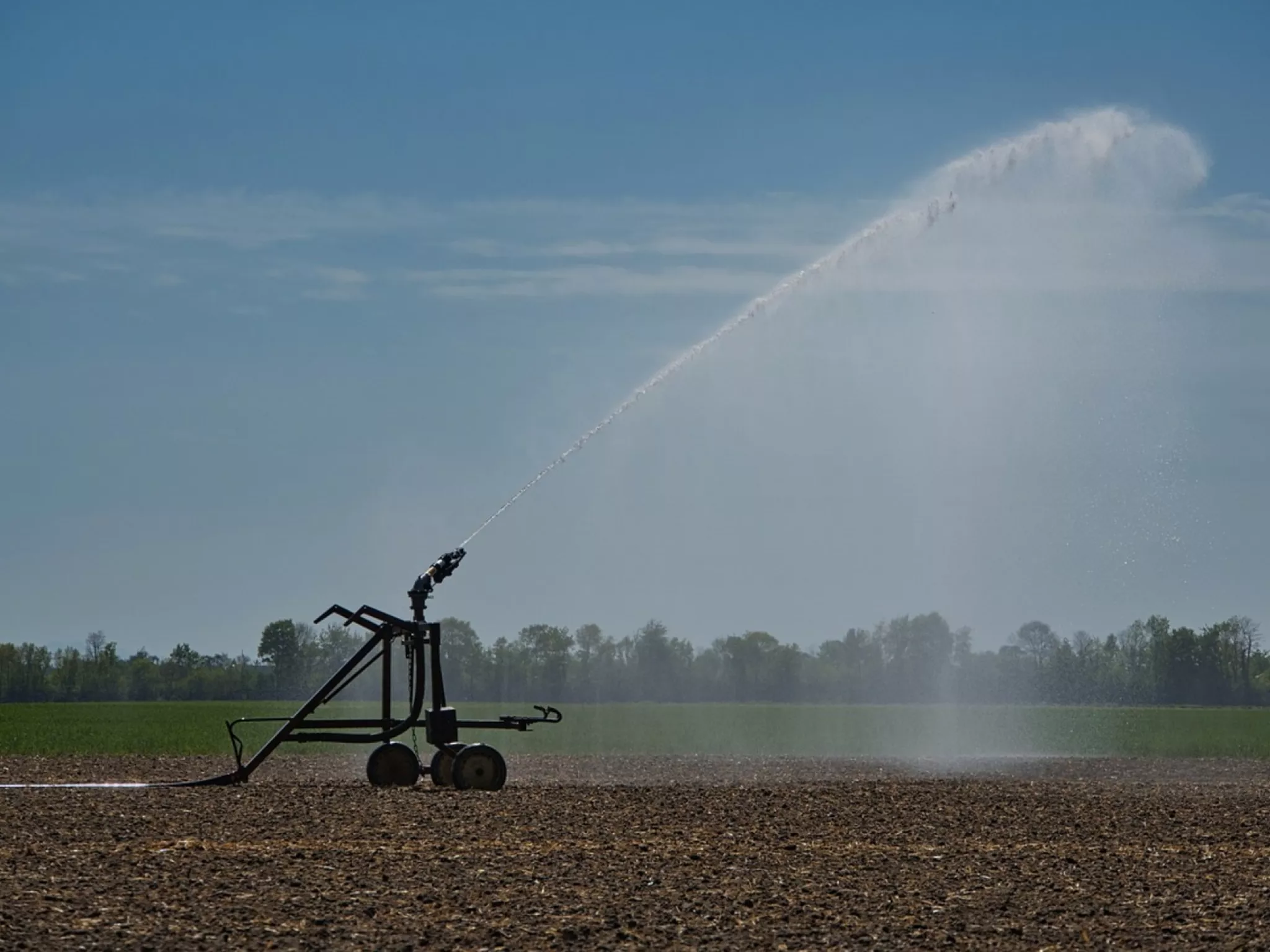 irrigation champ