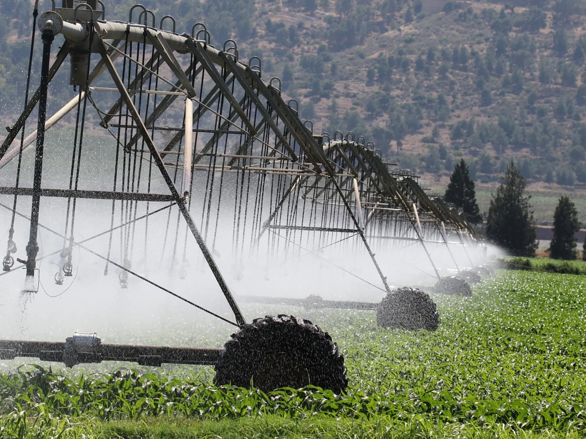 Irrigation