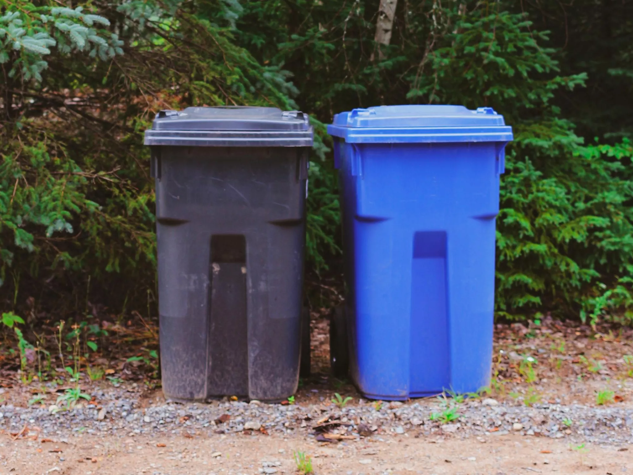 Déchets