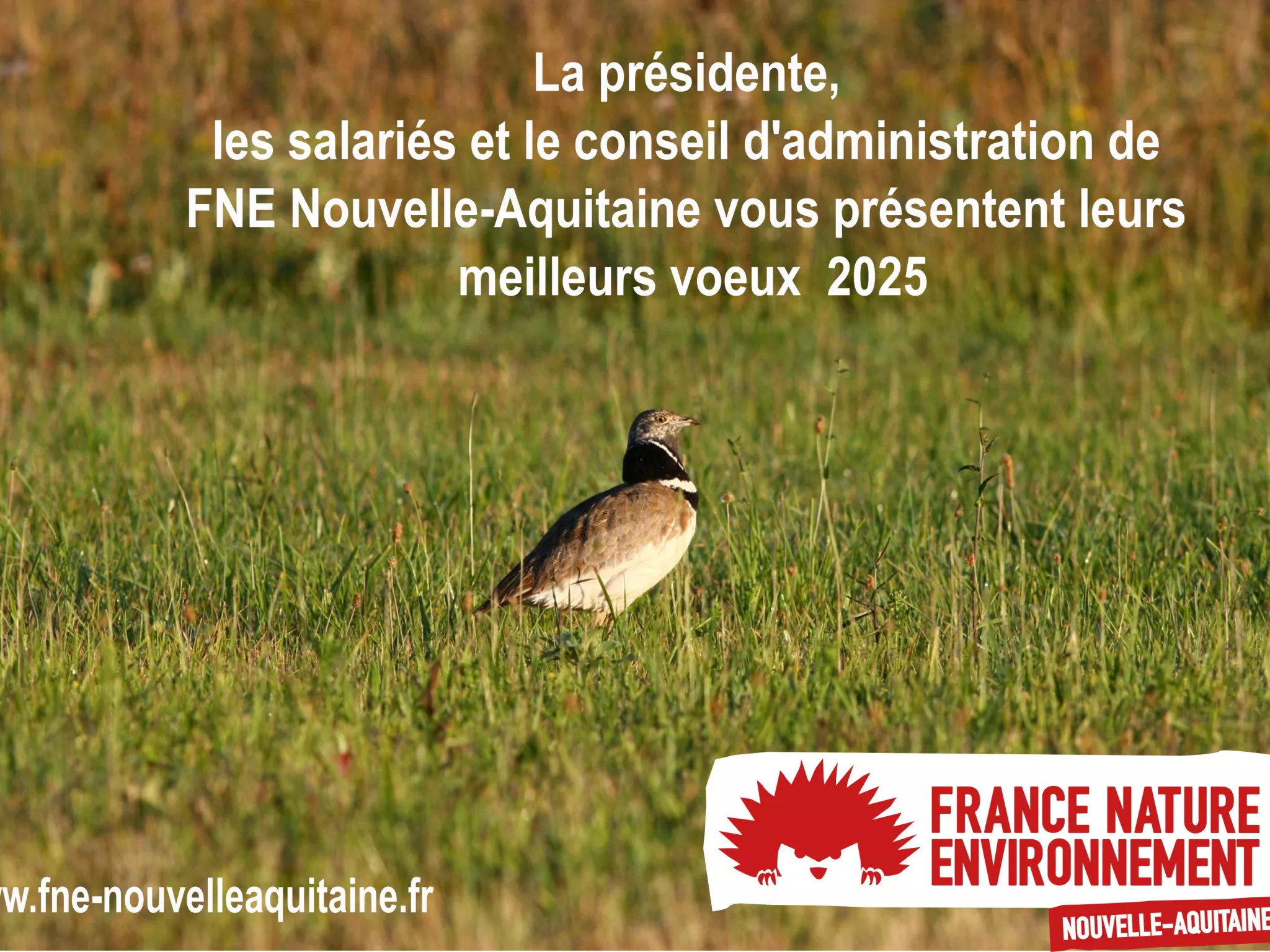 Meilleurs voeux 2025