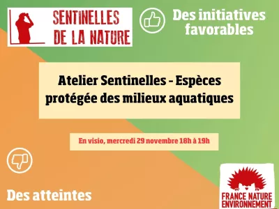 atelier sentinelles