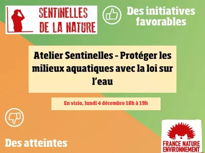 atelier sentinelles