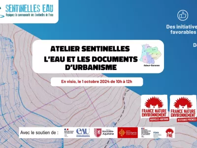 visuel atelier sentinelles