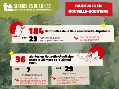 Bilan 2025 Sentinelles de la haie