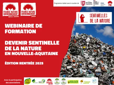Webinaire devenir sentinelles