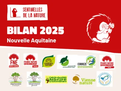 visuel du bilan 2025 Sentinelles de la Nature en Nouvelle-Aquitaine