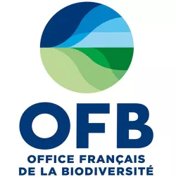 OFB